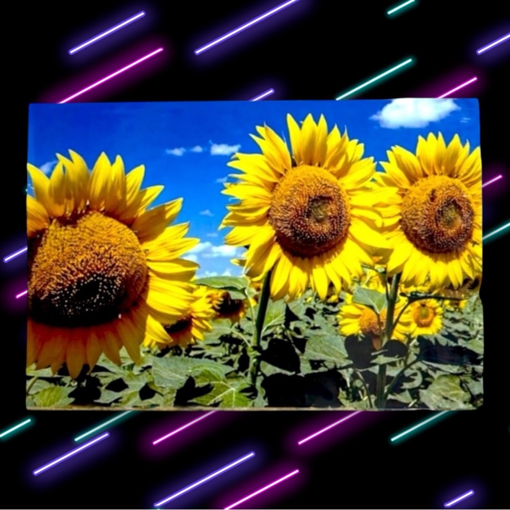 ( Quantity 25 10x13 ) Sunflowers and Bees Poly Mailers Bag Shipping Envelope